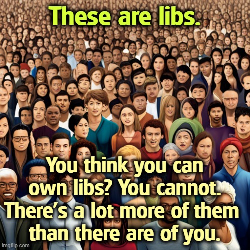 One of the great lessons of No Kings 2.0, over 8 million non-violent, unpaid patriots. And then MAGA got stomped in November. | These are libs. You think you can own libs? You cannot. There's a lot more of them 
than there are of you. | image tagged in maga,christian nationalists,libs,liberals,majority,no kings | made w/ Imgflip meme maker