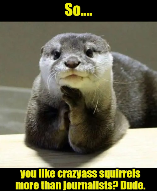 So.... you like crazyass squirrels more than journalists? Dude. | made w/ Imgflip meme maker
