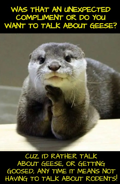 WAS THAT AN UNEXPECTED COMPLIMENT OR DO YOU WANT TO TALK ABOUT GEESE? CUZ I'D RATHER TALK ABOUT GEESE, OR GETTING GOOSED, ANY TIME IT MEANS  | made w/ Imgflip meme maker