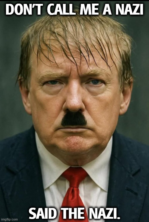 Nazis hate being called Nazis. | DON'T CALL ME A NAZI; SAID THE NAZI. | image tagged in trump hates being called a nazi - hitler,trump,nazi,hitler,neo-nazis,fascist | made w/ Imgflip meme maker