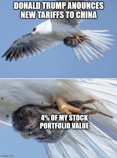 Stock Market | DONALD TRUMP ANOUNCES NEW TARIFFS TO CHINA; 4% OF MY STOCK PORTFOLIO VALUE | image tagged in small animal caught by a predator,donald trump,china,stock market | made w/ Imgflip meme maker