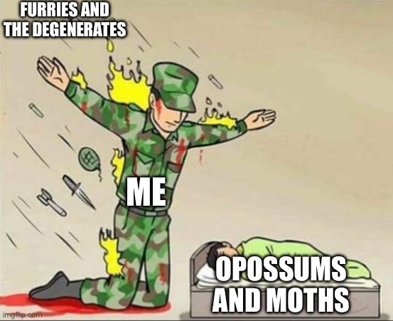 I do wish Opossums and Moths were more Popular But NOT IN THE FURRY FANDOM aka the Worst Fandom | FURRIES AND THE DEGENERATES; ME; OPOSSUMS AND MOTHS | image tagged in soldier protecting sleeping child,opossums,moth,furry,sad,underrated animals | made w/ Imgflip meme maker