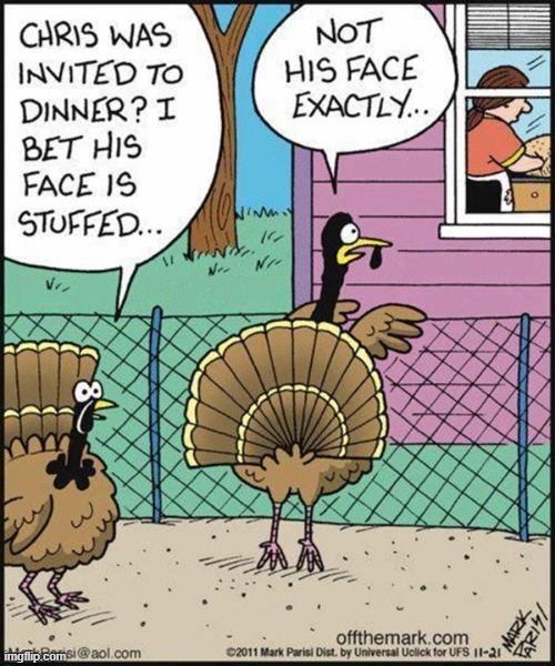 image tagged in turkey,chris,dinner,stuffed,thanksgiving,happy thanksgiving | made w/ Imgflip meme maker