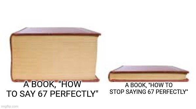 Antiiii-⁶⁷ | A BOOK, "HOW TO STOP SAYING 67 PERFECTLY"; A BOOK, "HOW TO SAY 67 PERFECTLY" | image tagged in big book small book | made w/ Imgflip meme maker