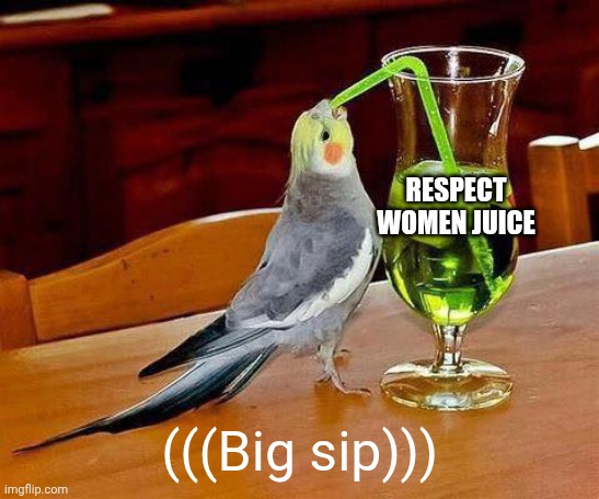 big sip bird | RESPECT WOMEN JUICE (((Big sip))) | image tagged in big sip bird | made w/ Imgflip meme maker