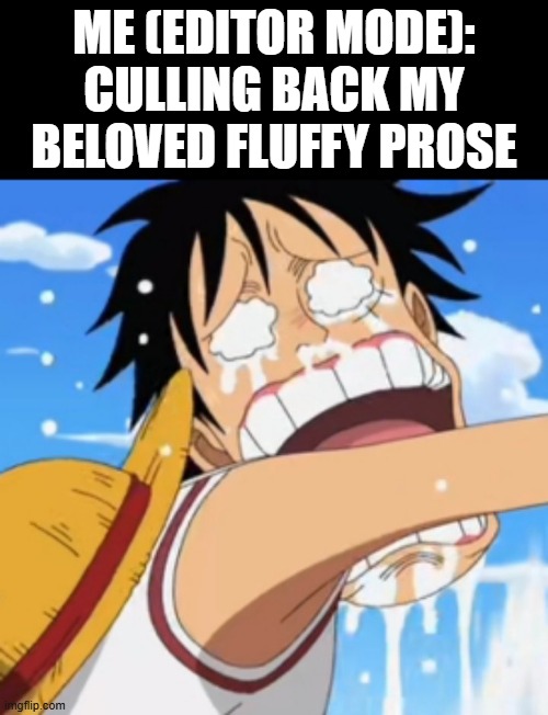Writer in Edit Mode Lv 2 | ME (EDITOR MODE): CULLING BACK MY BELOVED FLUFFY PROSE | image tagged in luffy crying | made w/ Imgflip meme maker