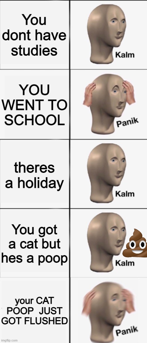 Kalm, Panik, Kalm, Kalm, wait what? PANIK!!!!! | You dont have studies; YOU WENT TO SCHOOL; theres a holiday; You got a cat but hes a poop; your CAT POOP  JUST GOT FLUSHED | image tagged in kalm panik kalm kalm wait what panik | made w/ Imgflip meme maker