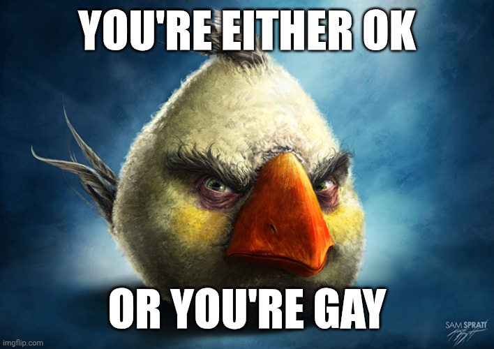 Realistic Matilda | YOU'RE EITHER OK; OR YOU'RE GAY | image tagged in realistic matilda | made w/ Imgflip meme maker
