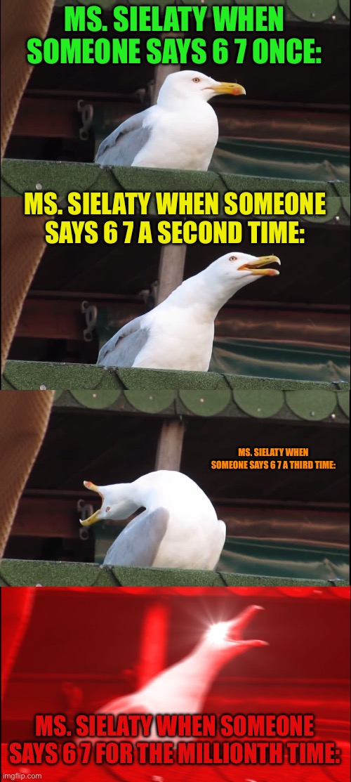 Inhaling Seagull Meme | MS. SIELATY WHEN SOMEONE SAYS 6 7 ONCE:; MS. SIELATY WHEN SOMEONE SAYS 6 7 A SECOND TIME:; MS. SIELATY WHEN SOMEONE SAYS 6 7 A THIRD TIME:; MS. SIELATY WHEN SOMEONE SAYS 6 7 FOR THE MILLIONTH TIME: | image tagged in memes,inhaling seagull | made w/ Imgflip meme maker