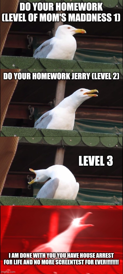 O no | DO YOUR HOMEWORK (LEVEL OF MOM'S MADDNESS 1); DO YOUR HOMEWORK JERRY (LEVEL 2); LEVEL 3; I AM DONE WITH YOU YOU HAVE HOUSE ARREST FOR LIFE AND NO MORE SCREENTEST FOR EVER!!!!!!!! | image tagged in memes,inhaling seagull | made w/ Imgflip meme maker