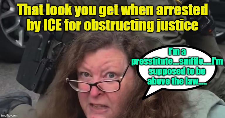 Enjoy your bologna sandwich and box of milk | That look you get when arrested by ICE for obstructing justice; I'm a presstitute....sniffle.....I'm supposed to be above the law..... | image tagged in journalism,arrested,immigration,consequences | made w/ Imgflip meme maker