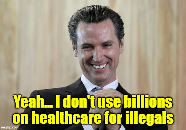 Scheming Gavin Newsom  | Yeah... I don't use billions on healthcare for illegals | image tagged in scheming gavin newsom | made w/ Imgflip meme maker