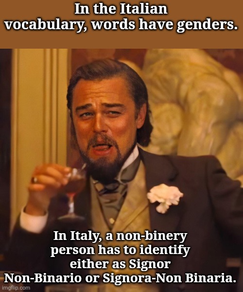 Leo DiCaprio chuckles | In the Italian vocabulary, words have genders. In Italy, a non-binery person has to identify either as Signor Non-Binario or Signora-Non Binaria. | image tagged in leo dicaprio chuckles | made w/ Imgflip meme maker