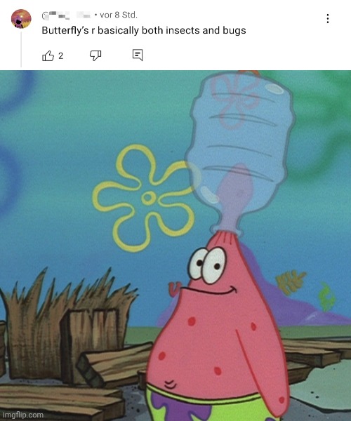 Enrique | image tagged in patrick head stuck in bottle dumb | made w/ Imgflip meme maker