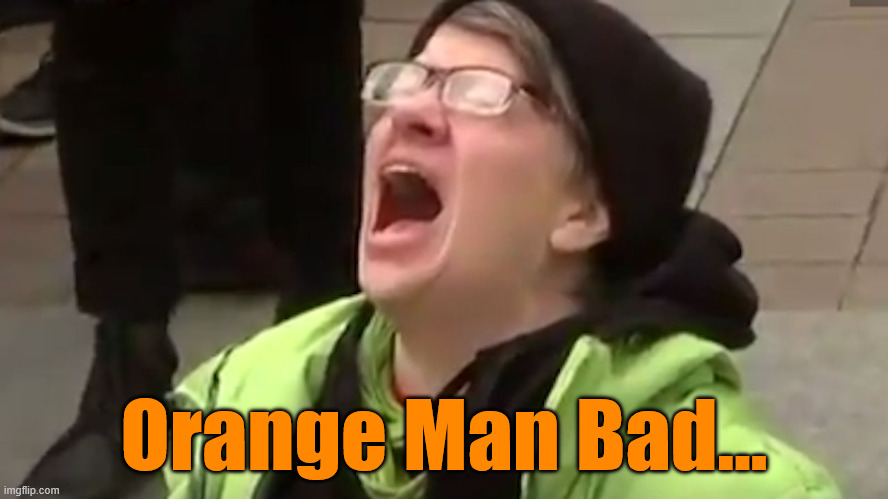 Screaming Liberal  | Orange Man Bad... | image tagged in screaming liberal | made w/ Imgflip meme maker