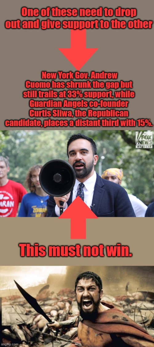 Islamic destruction of NY would be complete. | One of these need to drop out and give support to the other; New York Gov. Andrew Cuomo has shrunk the gap but still trails at 33% support, while Guardian Angels co-founder Curtis Sliwa, the Republican candidate, places a distant third with 15%. This must not win. | image tagged in memes,sparta leonidas | made w/ Imgflip meme maker