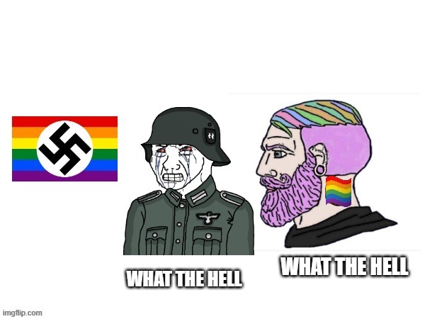 inspired by r/shermanposting | WHAT THE HELL; WHAT THE HELL | image tagged in nazi,lgbtq,what the hell,reddit,wojak,lgbt | made w/ Imgflip meme maker