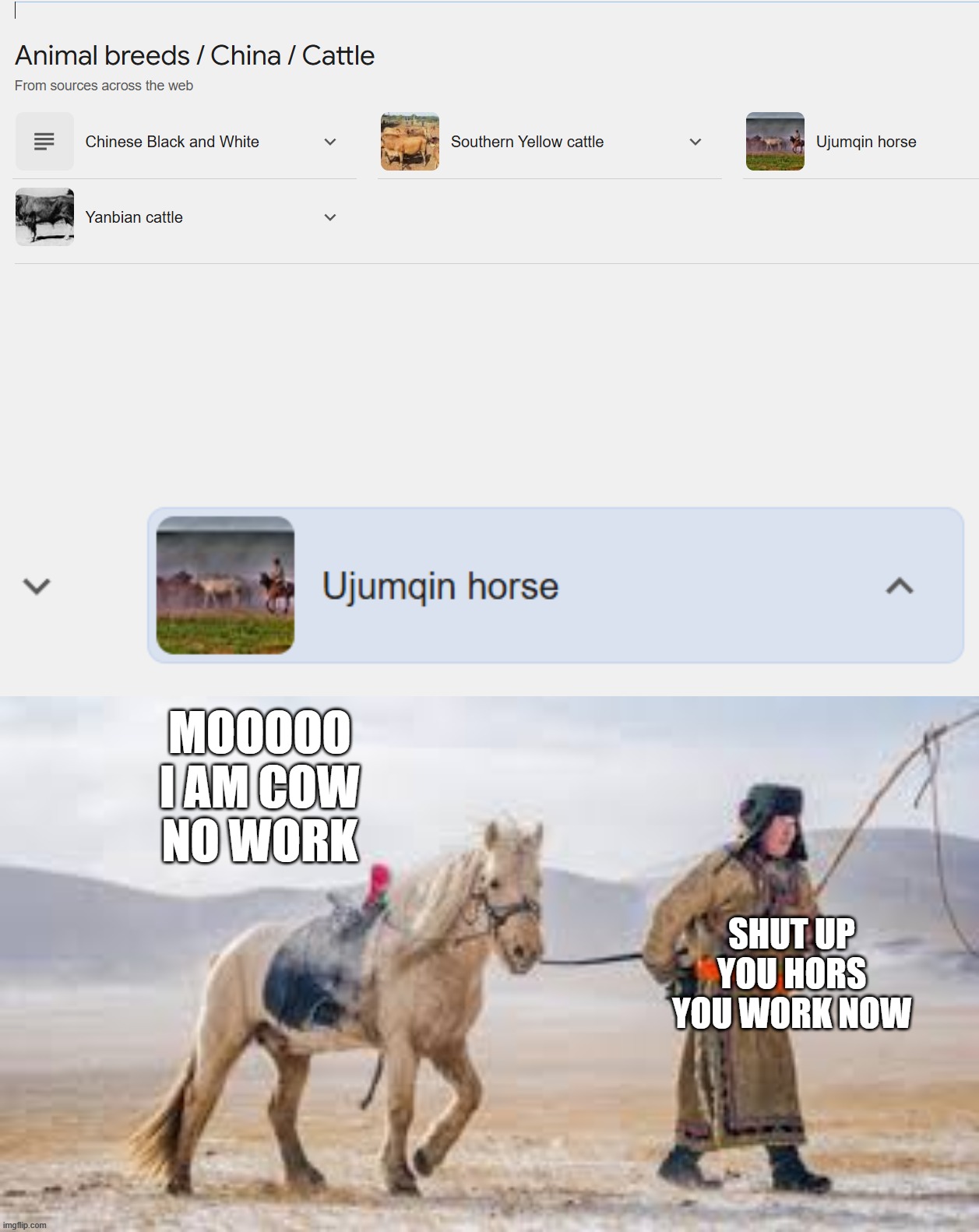 MOOOOO
I AM COW
NO WORK; SHUT UP
YOU HORS
YOU WORK NOW | image tagged in horse | made w/ Imgflip meme maker