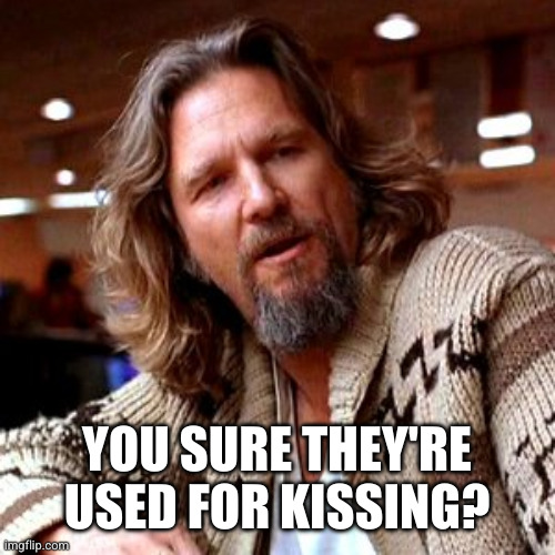 Confused Lebowski Meme | YOU SURE THEY'RE USED FOR KISSING? | image tagged in memes,confused lebowski | made w/ Imgflip meme maker