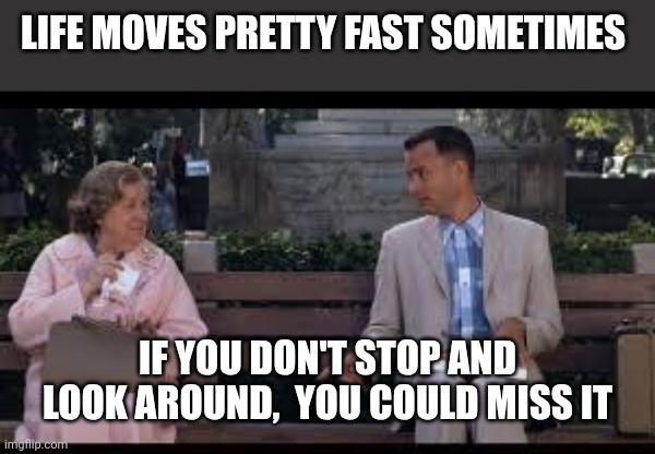 Life moves fast | LIFE MOVES PRETTY FAST SOMETIMES; IF YOU DON'T STOP AND LOOK AROUND,  YOU COULD MISS IT | image tagged in forrest gump box of chocolates,funny memes | made w/ Imgflip meme maker