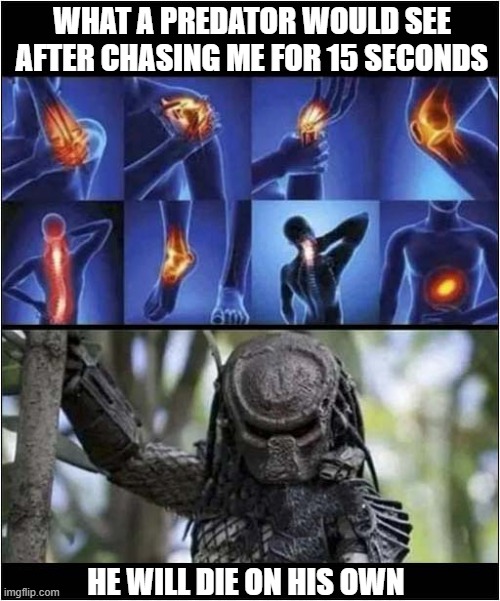 Could Old Age Save Me ? | WHAT A PREDATOR WOULD SEE AFTER CHASING ME FOR 15 SECONDS; HE WILL DIE ON HIS OWN | image tagged in predator,old age,worn out,death | made w/ Imgflip meme maker