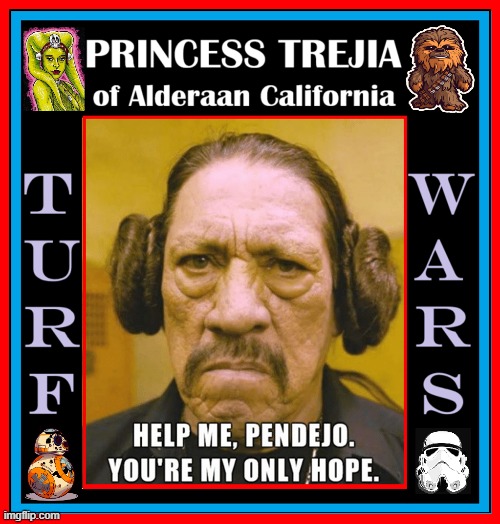 ¿May the Gordito be with You? | image tagged in vince vance,danny trejo,star wars,turf,wars,princess leia | made w/ Imgflip meme maker