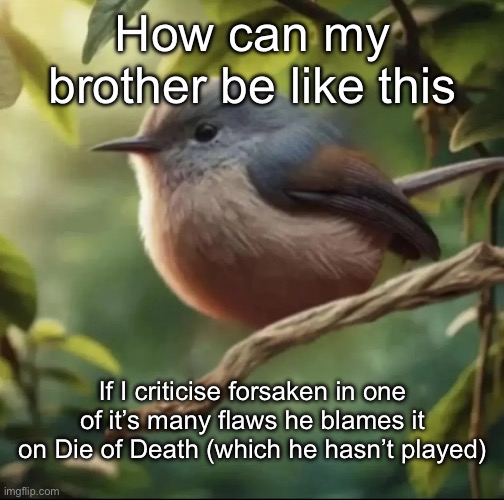 No balls | How can my brother be like this; If I criticise forsaken in one of it’s many flaws he blames it on Die of Death (which he hasn’t played) | image tagged in no balls,msmg | made w/ Imgflip meme maker