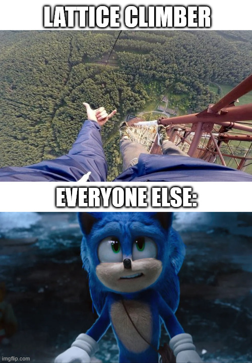 Watching lattice climbing be like | LATTICE CLIMBER; EVERYONE ELSE: | image tagged in lattice climbing,memes,sonic the hedgehog,dark humor,latticeclimbing,climbing memes | made w/ Imgflip meme maker