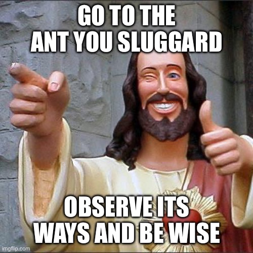 Solomon was pretty dang wise | GO TO THE ANT YOU SLUGGARD; OBSERVE ITS WAYS AND BE WISE | image tagged in memes,buddy christ | made w/ Imgflip meme maker