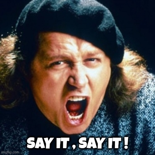 Sam kinison | SAY IT , SAY IT ! | image tagged in sam kinison | made w/ Imgflip meme maker