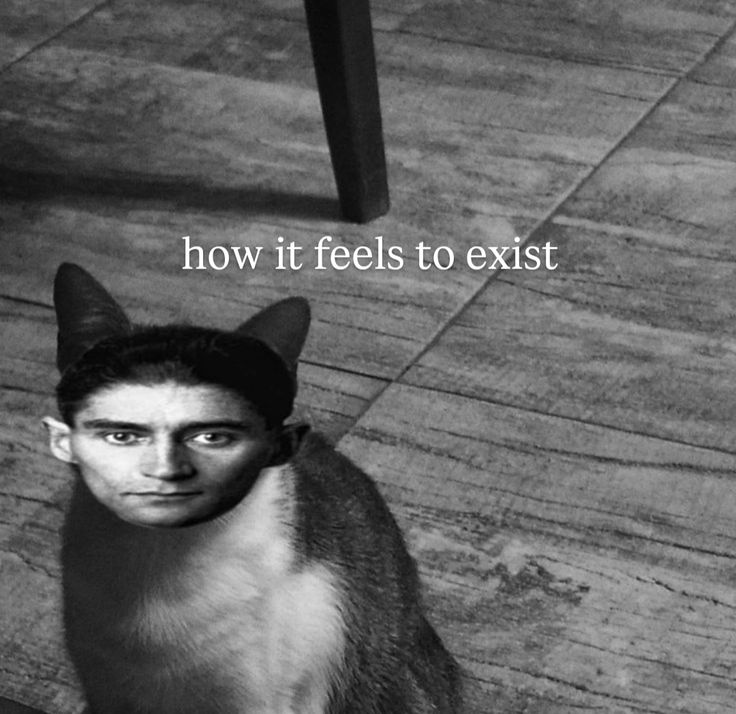 High Quality ts so kafkaesque Blank Meme Template