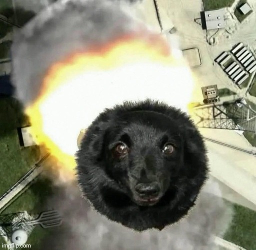 Pics that go hard | image tagged in memes,doggo,rocket | made w/ Imgflip meme maker