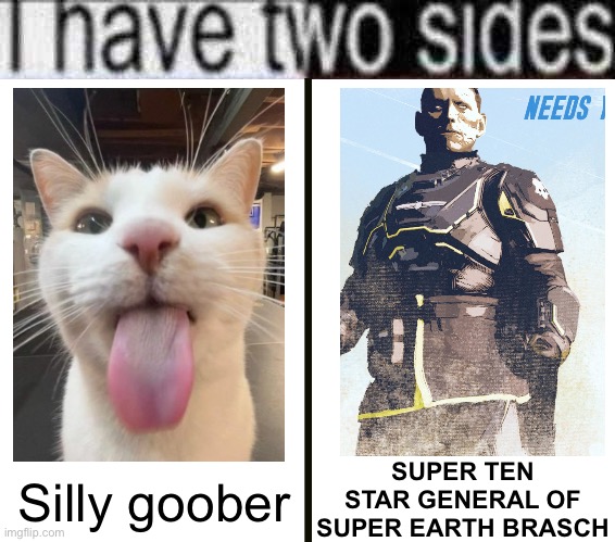 . | SUPER TEN STAR GENERAL OF SUPER EARTH BRASCH; Silly goober | made w/ Imgflip meme maker