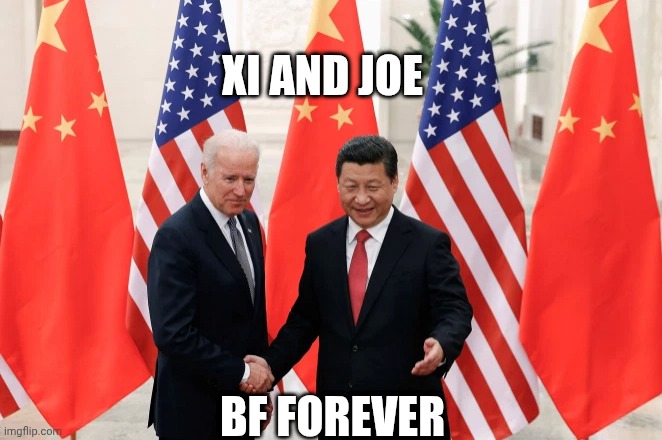 Joe Biden and President Xi of China | XI AND JOE BF FOREVER | image tagged in joe biden and president xi of china | made w/ Imgflip meme maker