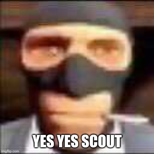 spi | YES YES SCOUT | image tagged in spi | made w/ Imgflip meme maker