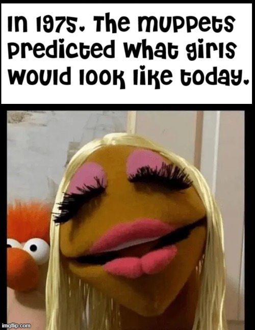 Someday I'll find it, the Collagen Connection:  Real Puffy Lips for a Fee | image tagged in vince vance,rainbow connection,the muppets,janice,big lips,plastic surgery | made w/ Imgflip meme maker
