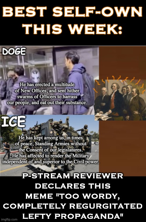 When it's delightful to be insulted | BEST SELF-OWN THIS WEEK:; P-STREAM REVIEWER DECLARES THIS MEME "TOO WORDY, COMPLETELY REGURGITATED LEFTY PROPAGANDA" | image tagged in the right can't meme,the right can't read,democracy,founding fathers,politics | made w/ Imgflip meme maker