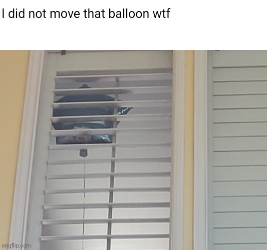 starbeloon sees all | I did not move that balloon wtf | made w/ Imgflip meme maker