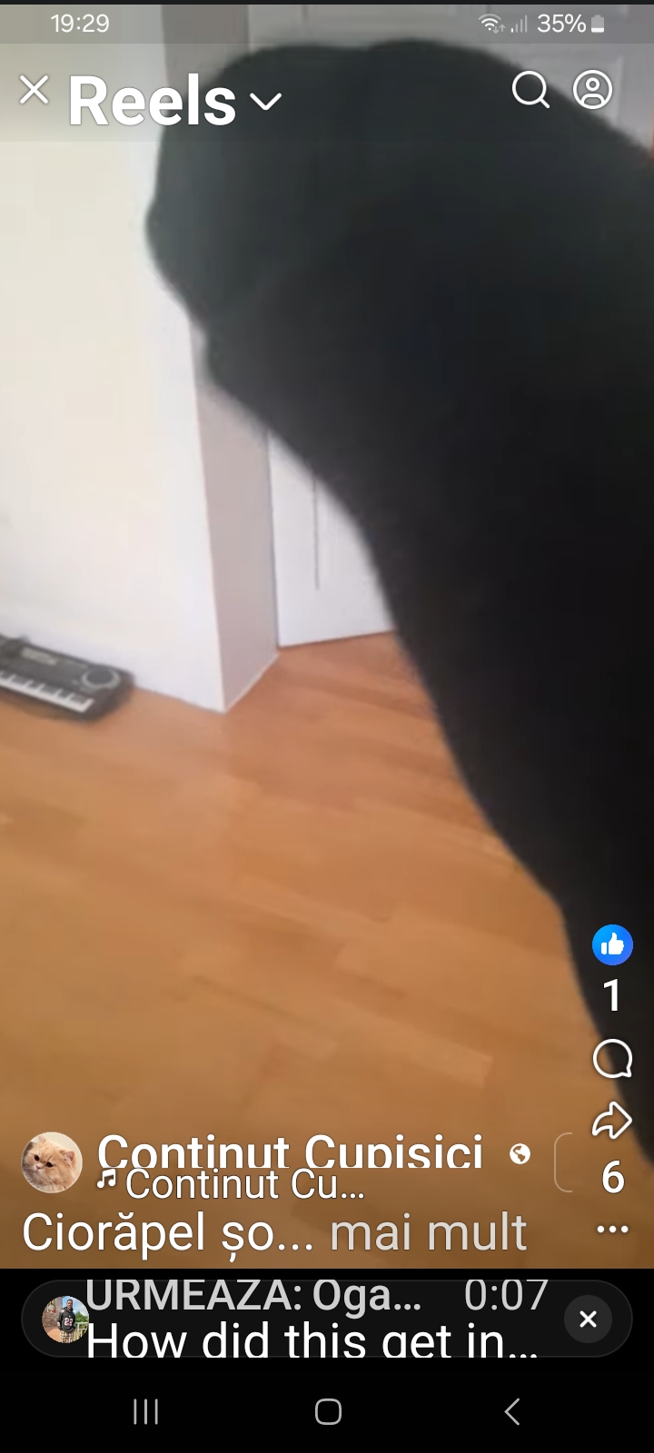 Ciorăpel Șoseta meme Sockie the sock Blank Meme Template