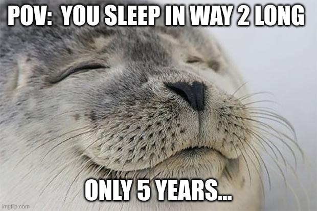 sleeping in | POV:  YOU SLEEP IN WAY 2 LONG; ONLY 5 YEARS... | image tagged in memes,satisfied seal | made w/ Imgflip meme maker