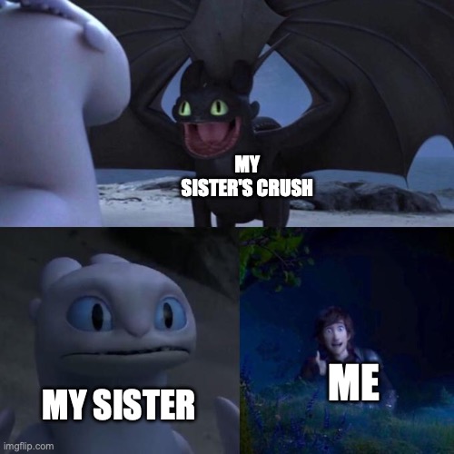 Do this. For me | MY SISTER'S CRUSH; ME; MY SISTER | image tagged in toothless presents himself | made w/ Imgflip meme maker
