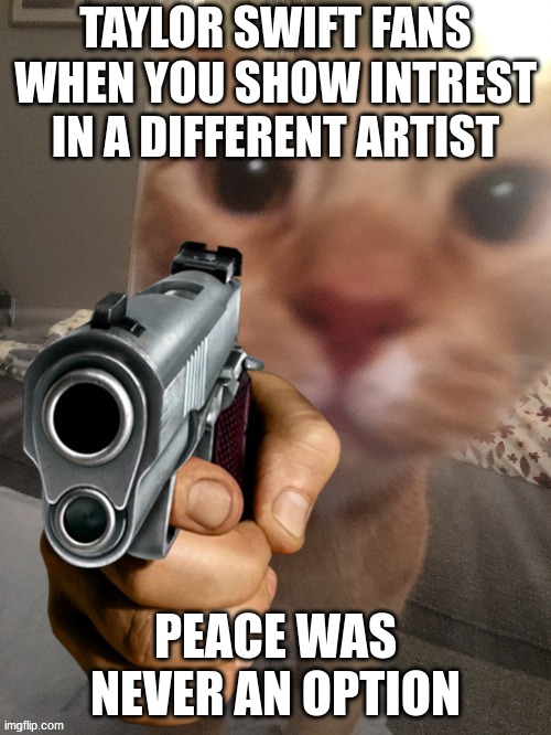 cat pointing gun | TAYLOR SWIFT FANS WHEN YOU SHOW INTREST IN A DIFFERENT ARTIST; PEACE WAS NEVER AN OPTION | image tagged in cat pointing gun | made w/ Imgflip meme maker