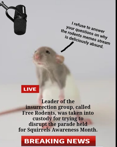 Breaking News About the Rodent Insurrection Group | I refuse to answer your questions on why the rodents memes stream is deliciously absurd. Leader of the insurrection group, called Free Rodents, was taken into custody for trying to disrupt the parade held for Squirrels Awareness Month. | image tagged in insurrection rats,they've gone wild,no one was at the parade | made w/ Imgflip meme maker