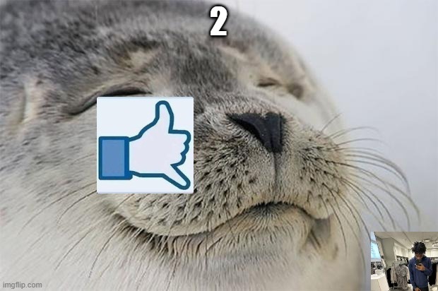 My new meme | 2 | image tagged in memes,satisfied seal | made w/ Imgflip meme maker