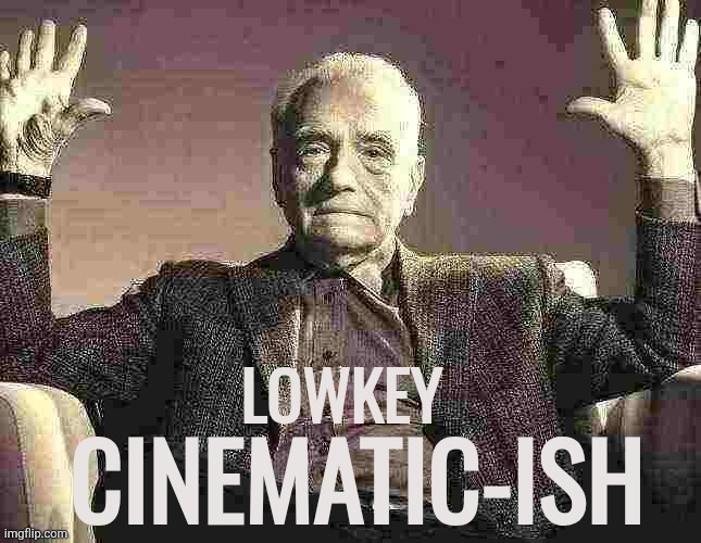 Lowkey Cinematic-ish | image tagged in lowkey cinematic-ish | made w/ Imgflip meme maker