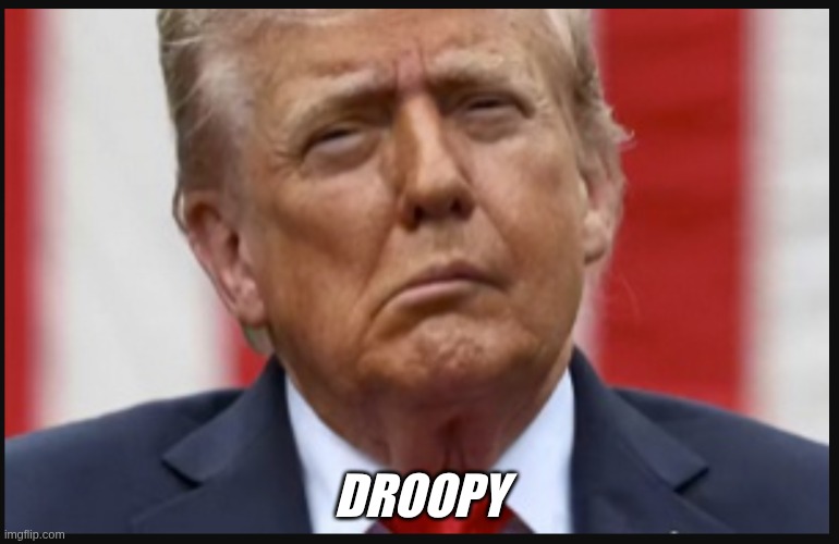 droopy Trump | DROOPY | image tagged in droopy,trash | made w/ Imgflip meme maker