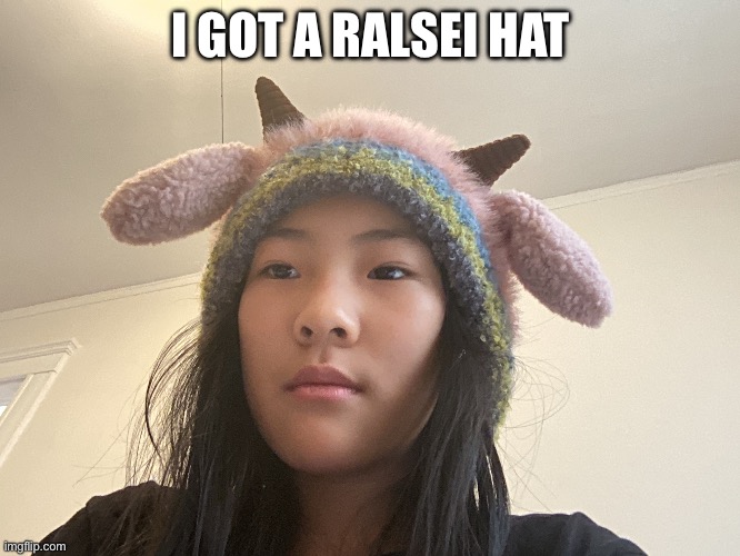 Ralsei pink hat | I GOT A RALSEI HAT | made w/ Imgflip meme maker