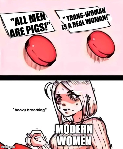 cONFUSION | " TRANS-WOMAN IS A REAL WOMAN!"; "ALL MEN ARE PIGS!"; MODERN WOMEN | image tagged in decision making girl | made w/ Imgflip meme maker