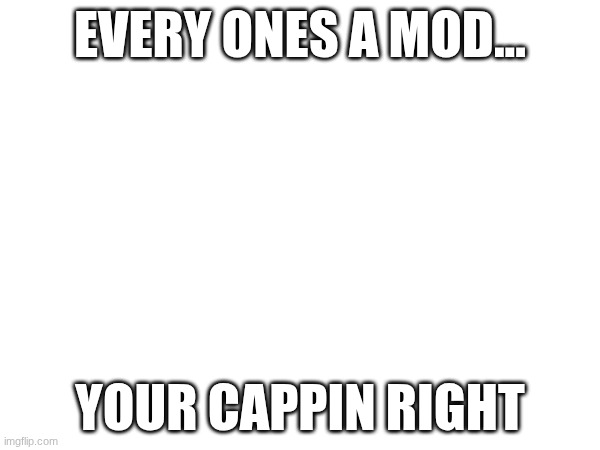 EVERY ONES A MOD... YOUR CAPPIN RIGHT | made w/ Imgflip meme maker
