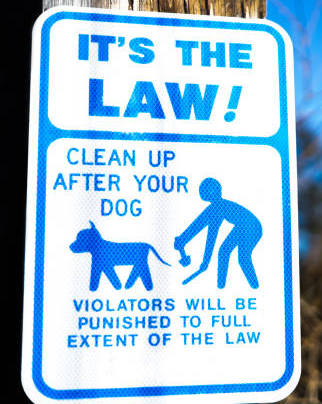 Clean Up After Dog Sign Blank Meme Template